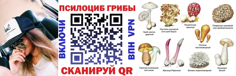 Галлюциногенные грибы Magic Shrooms Приволжск