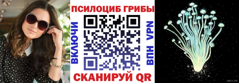 где можно купить наркотик  Приволжск  Псилоцибиновые грибы GOLDEN TEACHER 